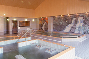四十八滝温泉しぶきの湯 湯遊館